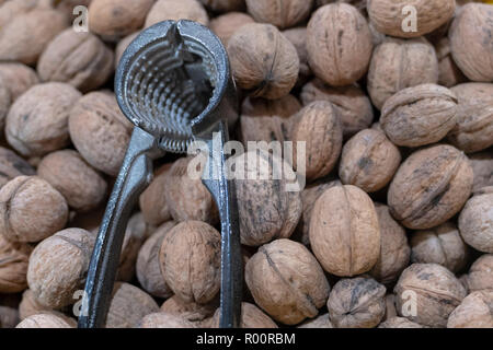 Walnut background and a nutcracker lying on them Stock Photo