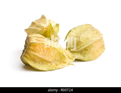 Physalis peruviana fruit isolated on white background. Stock Photo