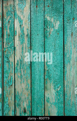 Fragment the shield of parallel vertical old wooden boards painted in green Stock Photo
