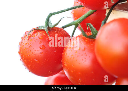 Lovely fresh small red tomatoes on the vine. With white backgound. Stock Photo