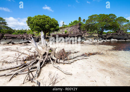 Ancient walls of Nan Madol prehistoric ruined stone city built of basalt slabs, overgrown with trees in a lagoon of Pohnpei, Micronesia, Oceania Stock Photo