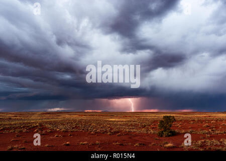 Stormy sky with lightning and a lone tree on the horizon Stock Photo