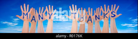 Many Hands Building Word Many Thanks, Blue Sky Stock Photo