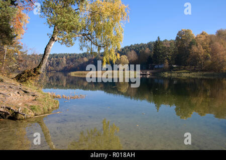 Forest with birch tree reflecting in a lake on autumn, reflection, quiet, peaceful and relaxing Stock Photo