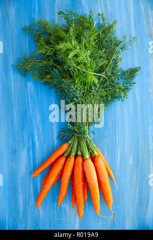 Fresh carrots bunch with stems and leaves on blue woode background Stock Photo