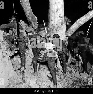 World War 1. No Man's Land - once a forest in 'Flanders's Fields' Stock ...