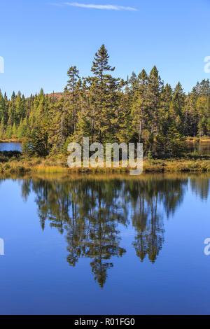 Water reflection of the trees in the lake, Lac Dix Miles, Mont Tremblant National Park, Québec Province, Canada Stock Photo