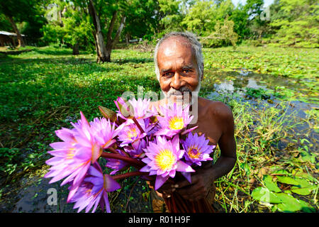 Old man with flowers of Blue Lotus (Nymphaea caerulea), near Habarana, Sri Lanka Stock Photo