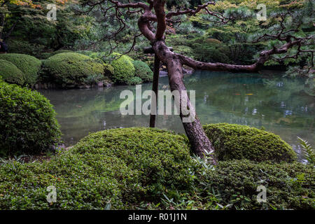 Tokyo Metropolitan Teien Japanese Garden lives on from a period when the site was the Prince Asaka Residence. It features include a hill and a pond fo Stock Photo