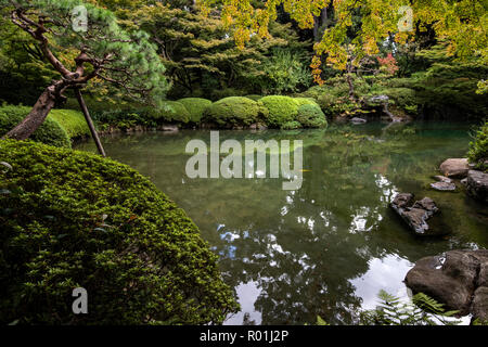 Tokyo Metropolitan Teien Japanese Garden lives on from a period when the site was the Prince Asaka Residence. It features include a hill and a pond fo Stock Photo