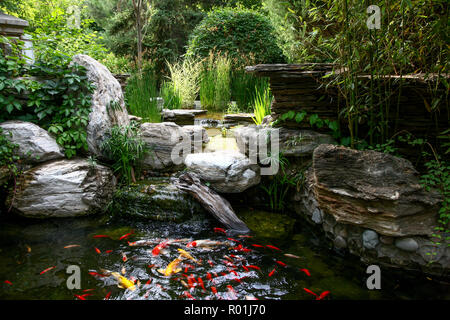 Garden pond Stock Photo