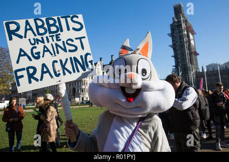 London, UK. 31st October, 2018. Environmental campaigners gather in Parliament Square make a formal declaration of non-violent rebellion against the British government for 'criminal inaction in the face of climate change catastrophe and ecological collapse'. Credit: Mark Kerrison/Alamy Live News Stock Photo
