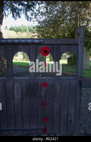 Norton,UK,1ST November 2018, Preparations for Remembrance Sunday with a Poppy display in the Parish Church of St Andrew, Norton,Powys,Wales. This year celebrates 100 years since the First World War.Credit: Keith Larby/Alamy Live News Stock Photo