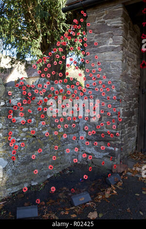 Norton,UK,1ST November 2018, Preparations for Remembrance Sunday with a Poppy display in the Parish Church of St Andrew, Norton,Powys,Wales. This year celebrates 100 years since the First World War.Credit: Keith Larby/Alamy Live News Stock Photo