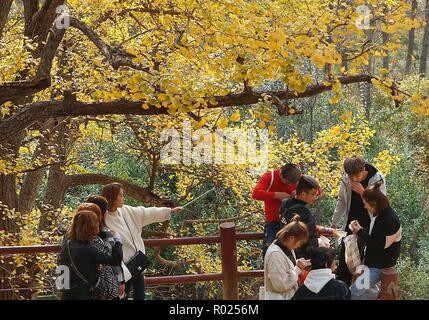 Zhengzhou, China's Henan Province. 1st Nov, 2018. Tourists visit the Xiasi Village in Songxian County, central China's Henan Province, Nov. 1, 2018. Credit: Li An/Xinhua/Alamy Live News Stock Photo