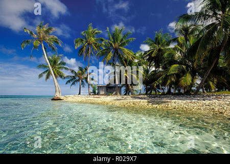 Rangiroa, French Polynesia, Pacific Ocean Stock Photo