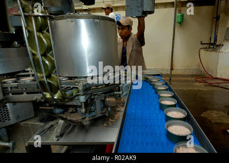 Sardine processing plant, Mexico Stock Photo