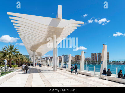 Paseo del Muelle Uno on the seafront in the port area, Malaga, Costa del Sol, Andalucia, Spain Stock Photo