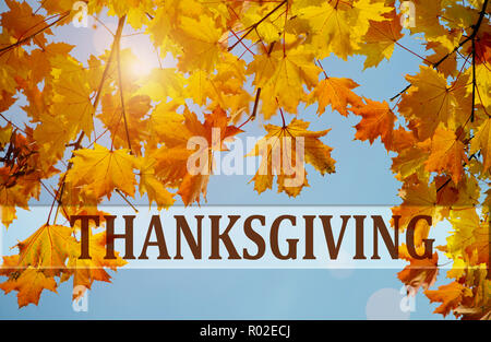 Happy Thanksgiving Greeting, autumn background of colorfull  leaves Stock Photo
