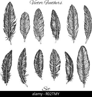 Hand drawn vector feathers set isolated on white background. Detailed boho decoration elements. Realistic illustration. Stock Vector