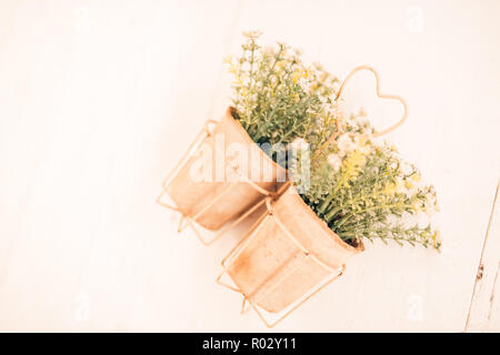 Plants in pots - wall decoration, lavender flowers in pots. Cozy home decor, with fresh summer flowers Stock Photo