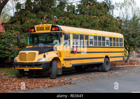 Front view of a Noth American School Bus Stock Photo