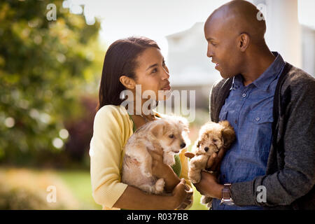 Young heterosexual couple smile at each other and talk as they each hold a puppy. Stock Photo