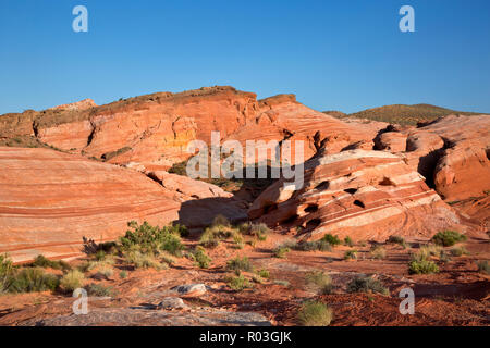 NV00068-00...NEVADA - Contrasting layers of sandstone near The Fire Wave  in the Valley of Fire State Park. Stock Photo