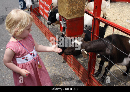 Young girl in a red gingham dress feeds baby goats at the petting zoo, Mount Airy, North Carolina, USA Stock Photo