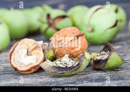 Walnuts on a wooden table, open from green peel, close-up of useful food harvest Stock Photo