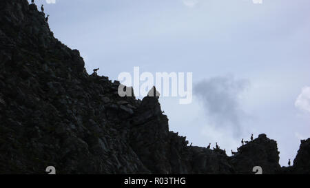 many young ibex or alpine mountain goat standing in silhouette on a jagged mountain ridge Stock Photo