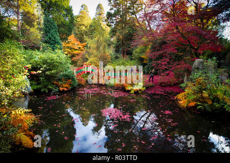 30/07/18  Just in time for Halloween, a riot of blood red autumn colour frames the China Garden at Biddulph Grange Garden, Staffordshire.  All Rights  Stock Photo