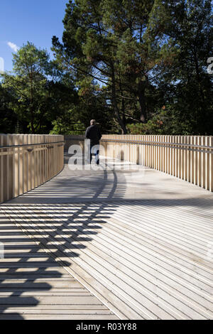 Detail of timber floor and shadows cast on the Rising Path. The Rising Path, Cambridge, United Kingdom. Architect: Chadwick Dryer Clarke, 2018. Stock Photo