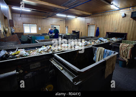 GRODNO, BELARUS - OCTOBER 2018: Two workers in uniform working at waste processing plant sorting recyclable materials from garbage on conveyor belt. Stock Photo