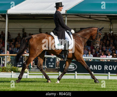 Mark Todd and NZB CAMPINO during the dressage phase of the Land Rover Burghley Horse Trials, 2018 Stock Photo