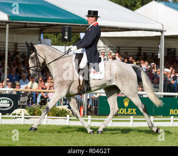 Oliver Townend and BALLAGHMOR CLASS during the dressage phase of the Land Rover Burghley Horse Trials, 2018 Stock Photo