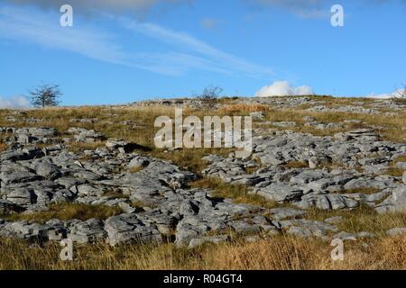 Limestone pavement grikes Ogof Ffynnon Ddu National Nature Reserve Brecon Beacons National Park Fforest Fawr Unesco Geopark Wales Cymru UK Stock Photo