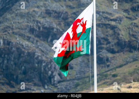 Welsh flag waving in the beautiful landscape of Llanberis, Snowdonia in Wales at the lake padarn. Stock Photo