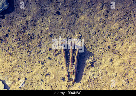 Old nails on concrete texture as abstract grunge background Stock Photo