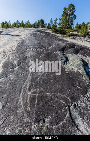 Animal forms in the 9000 year old ground and polished Stone Age rock art at Leiknes, Norway, Scandinavia, Europe Stock Photo