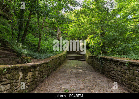 Old stone stairs leading to green temperate forest in Brittany, France Stock Photo