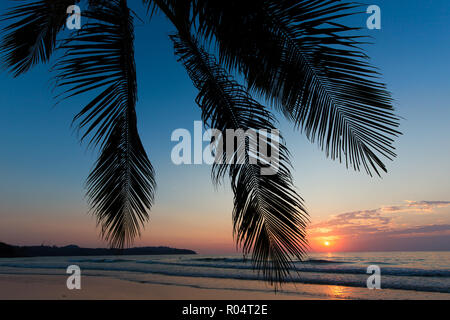 Tropical sunset over palm tree at the khlong Chao beach in Ko Kood island, Thailand Stock Photo