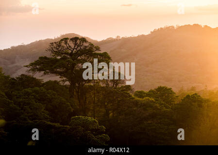 Monteverde Cloud Forest Reserve at sunset, Puntarenas, Costa Rica, Central America Stock Photo