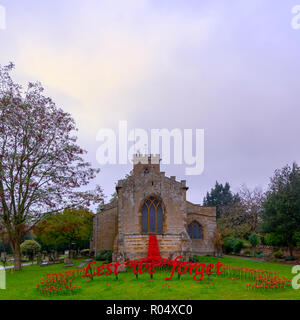 Abington Park, Northampton. 1st Nov 2018. Red poppies at The Church of St. Peter & St. Paul, Abington Park, Northampton.Credit: PATRICK ANTHONISZ/Alamy Live News Stock Photo