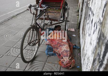 Dhaka, Bangladesh. 2nd Nov, 2018. A rickshaw puller sleeping under his rickshaw beside a roadside street near Dhaka University Campus. Credit: MD Mehedi Hasan/ZUMA Wire/Alamy Live News Stock Photo