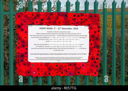 Aldridge, West Midlands, UK. 2nd November 2018. Station Road has been temporarily renamed Poppy Road to remember residents who caught the train from Aldridge station to go to war between 1914 and 1918. Credit: Nick Maslen/Alamy Live News Stock Photo