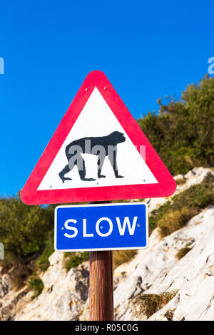 Traffic sign on the Rock of Gibraltar warning drivers of macaque apes on the road. Rock of Gibraltar, Gibraltar, British Overseas Territory Stock Photo