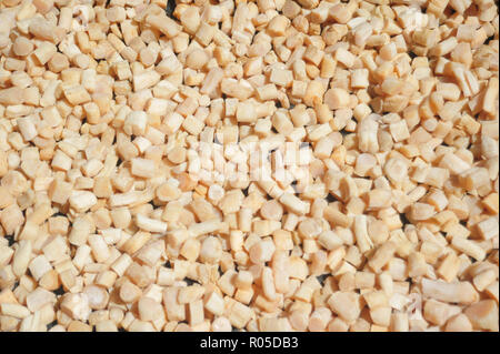 Salted fish part seafood dried under hot sun Stock Photo