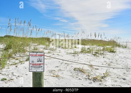 Warning sign to keep off the protected white sand dunes and sea oats along the Florida beach at Deer Lake State Park. Stock Photo