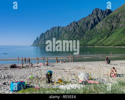 Beach Ersfjordstranden, fjord Ersfjord, public recreation area, summer, people go swimming,  view to mountain range Okshornan,  island Senja, Troms, n Stock Photo